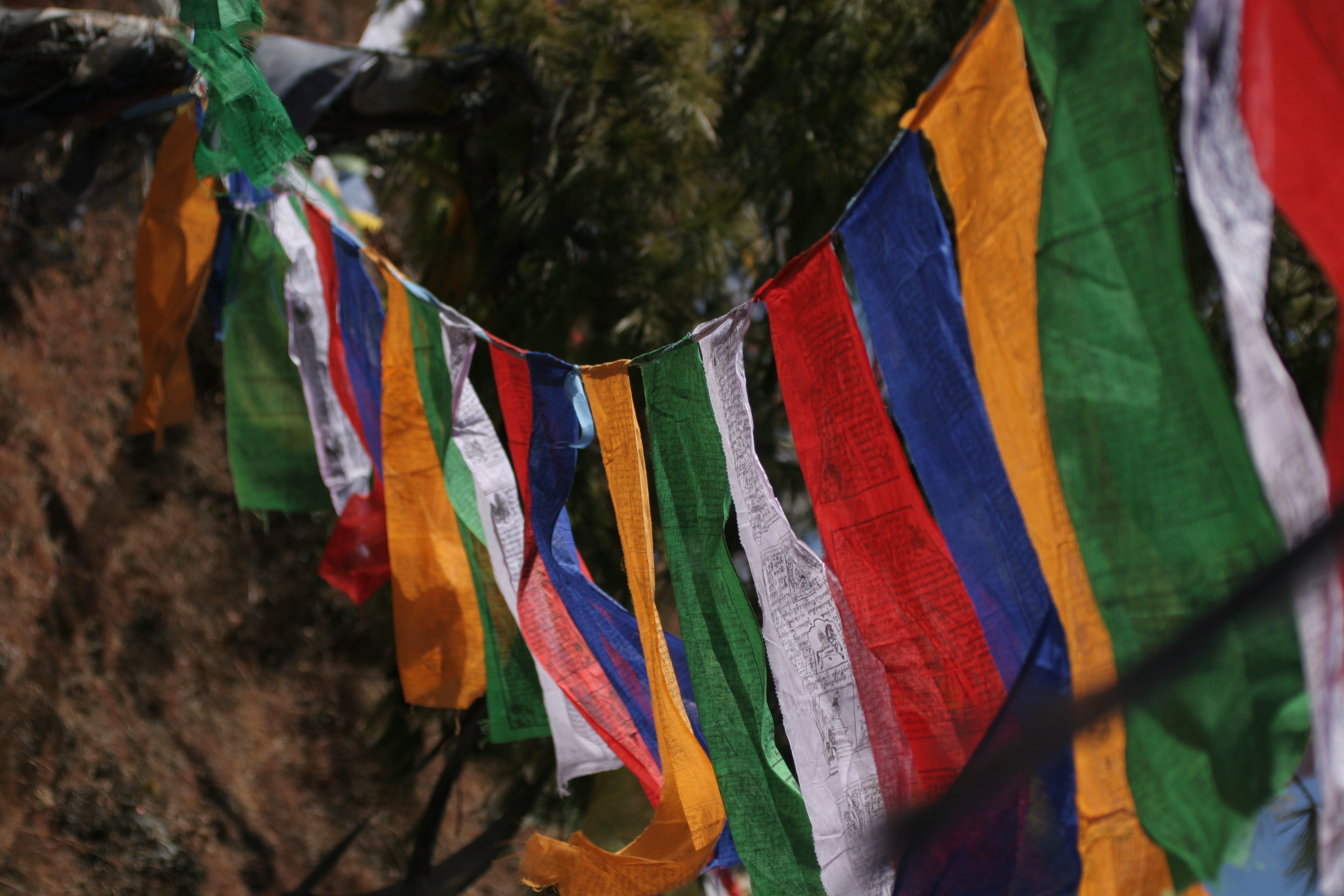 Paryer flag | Bhutan Visit