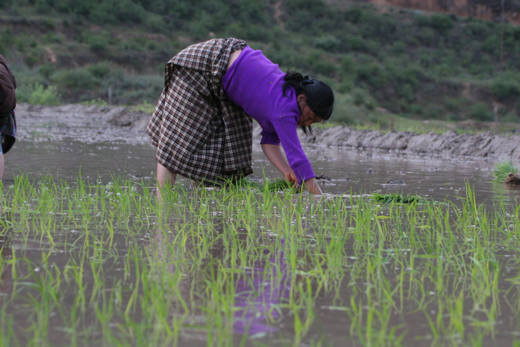 lady in field | Bhutan Visit 