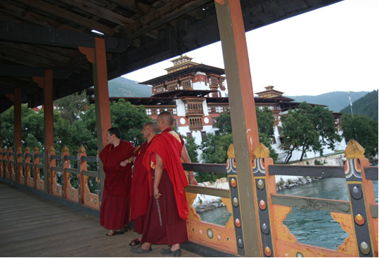 Punakha Dzongs | Bhutan Visit